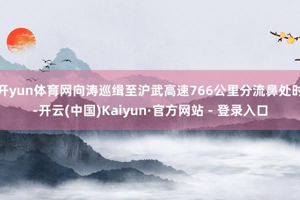 开yun体育网向涛巡缉至沪武高速766公里分流鼻处时-开云(中国)Kaiyun·官方网站 - 登录入口