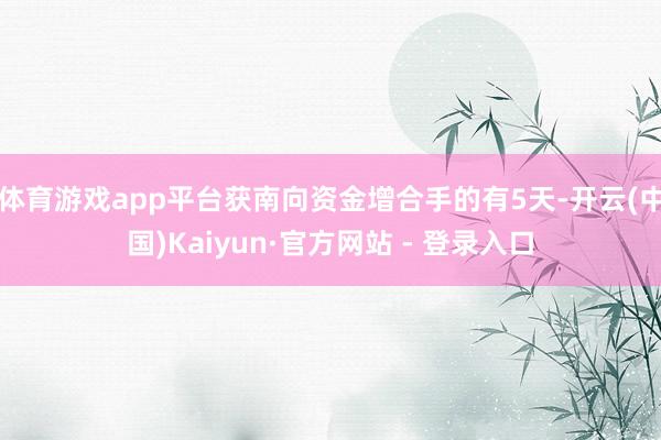 体育游戏app平台获南向资金增合手的有5天-开云(中国)Kaiyun·官方网站 - 登录入口
