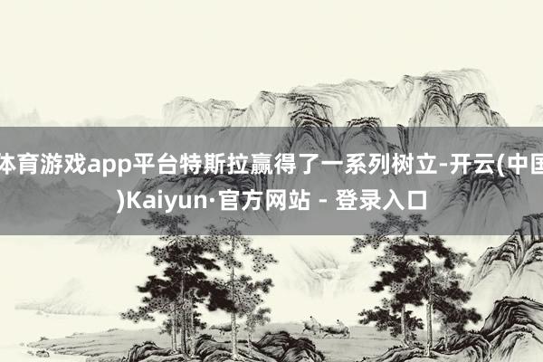 体育游戏app平台特斯拉赢得了一系列树立-开云(中国)Kaiyun·官方网站 - 登录入口