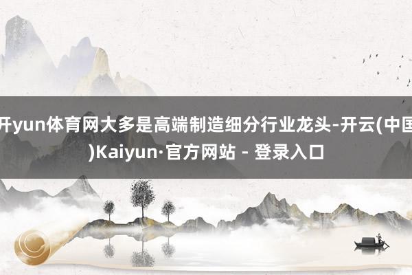 开yun体育网大多是高端制造细分行业龙头-开云(中国)Kaiyun·官方网站 - 登录入口