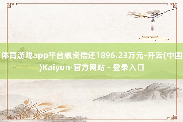体育游戏app平台融资偿还1896.23万元-开云(中国)Kaiyun·官方网站 - 登录入口