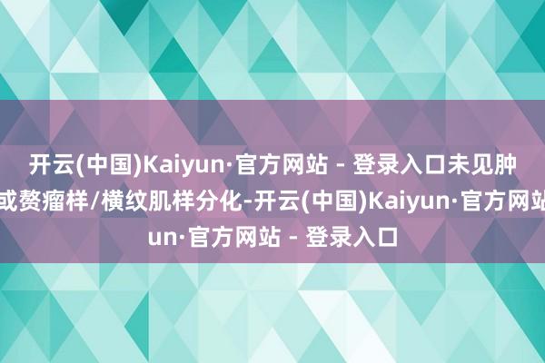 开云(中国)Kaiyun·官方网站 - 登录入口未见肿瘤细胞坏死或赘瘤样/横纹肌样分化-开云(中国)Kaiyun·官方网站 - 登录入口