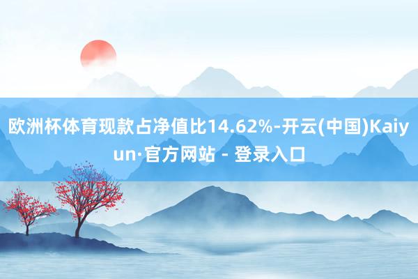 欧洲杯体育现款占净值比14.62%-开云(中国)Kaiyun·官方网站 - 登录入口
