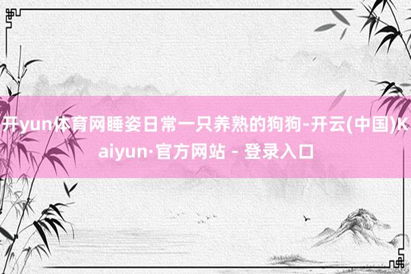 开yun体育网睡姿日常一只养熟的狗狗-开云(中国)Kaiyun·官方网站 - 登录入口